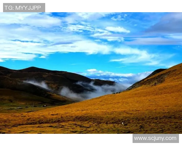 罗微的成长之路与人生哲学探讨：从平凡到卓越的心灵旅程