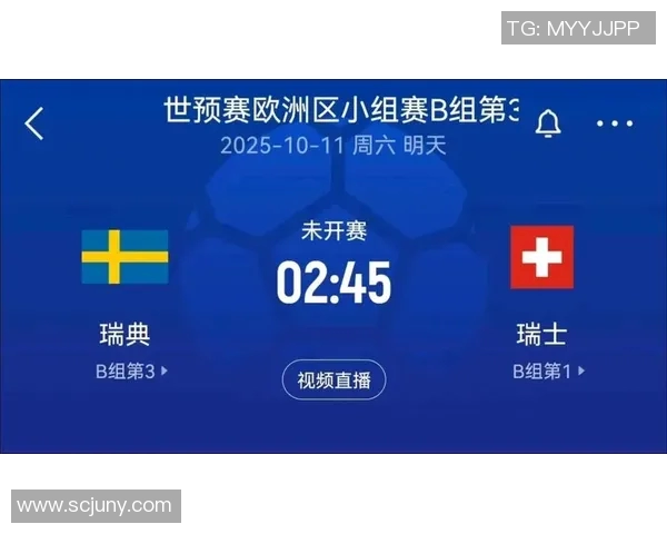 瑞典与瑞士精彩对决实况录像回顾及赛后分析