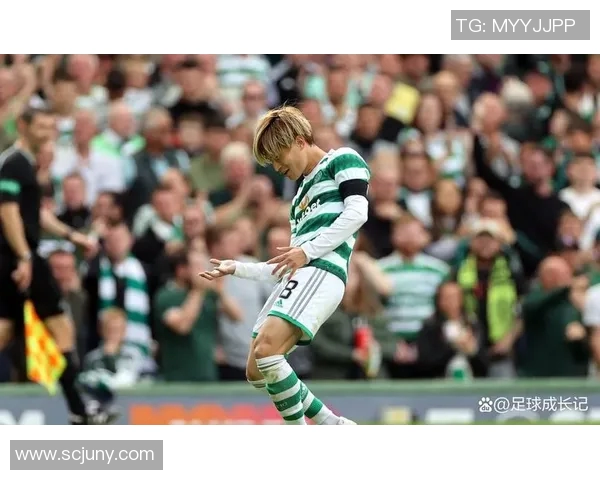 雷恩对阵凯尔特人精彩直播全程回顾与赛后分析