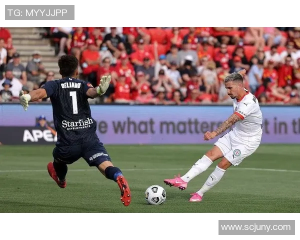 惠灵顿凤凰迎战波斯光荣争夺亚冠小组赛关键胜利