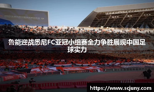 鲁能迎战悉尼FC亚冠小组赛全力争胜展现中国足球实力